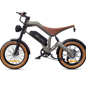 M20 20 Inch 45KM/H 48V 750W Fat Tire Electric Bike Wholesale