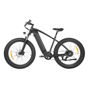 F-wheel king750 26 Inch 48V 750W 45KM/H Electric Mountain Bike